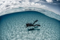   Overunder shot. Diver white sandy ocean floor. shot floor  